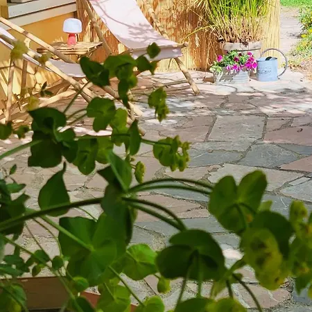 Le Chant Du Cedre * Gabian