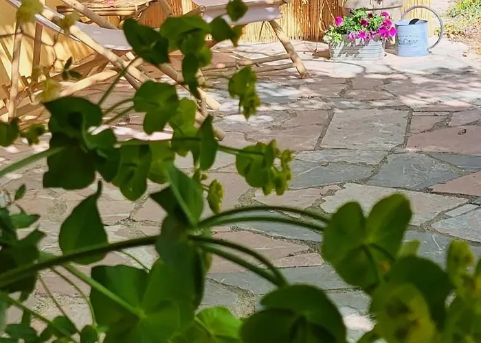 Le Chant Du Cedre * Gabian